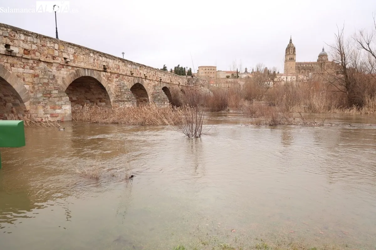 Crecida del río Tormes a su paso por Salamanca | Fotos: David Sañudo