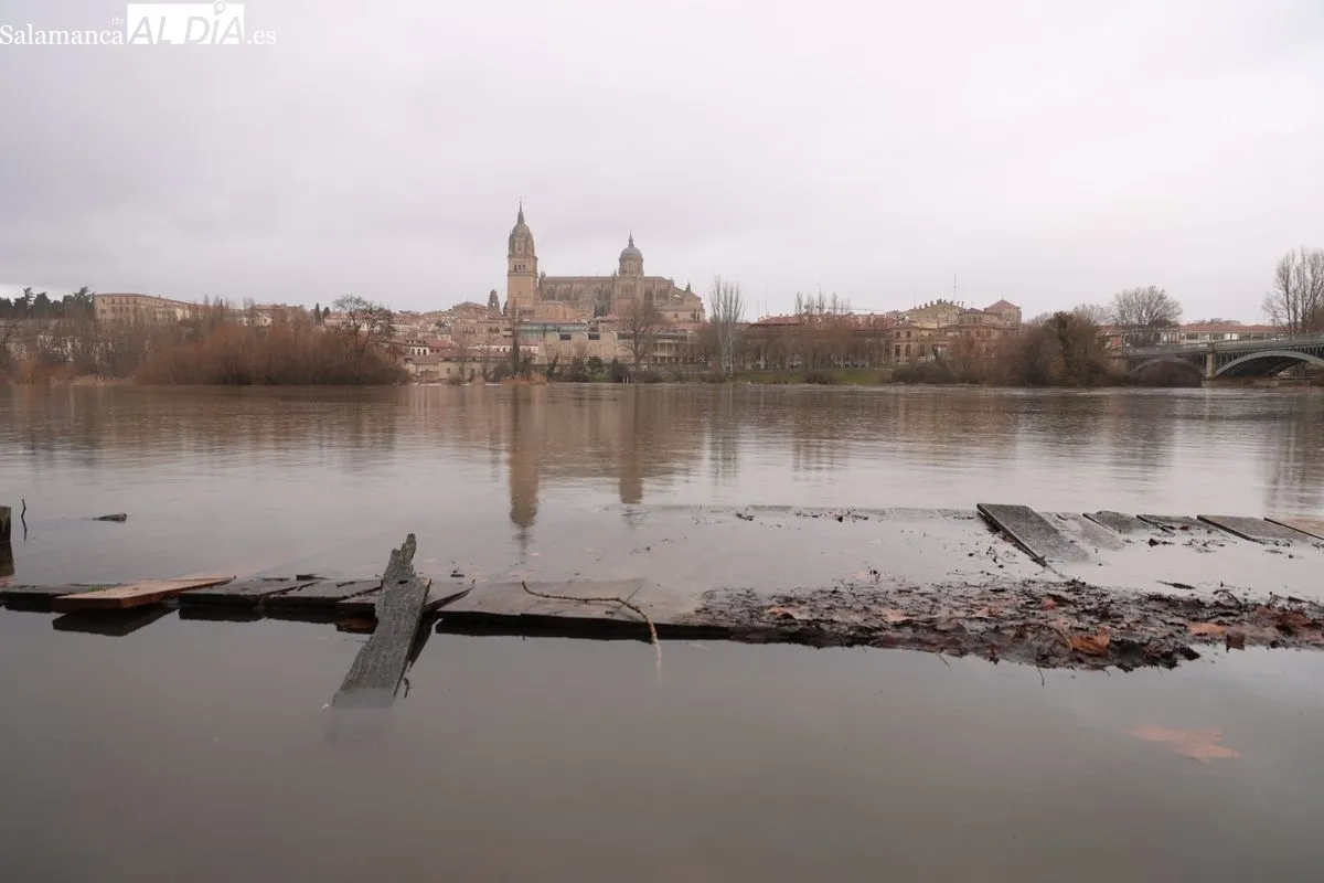 Crecida del río Tormes a su paso por Salamanca | Fotos: David Sañudo