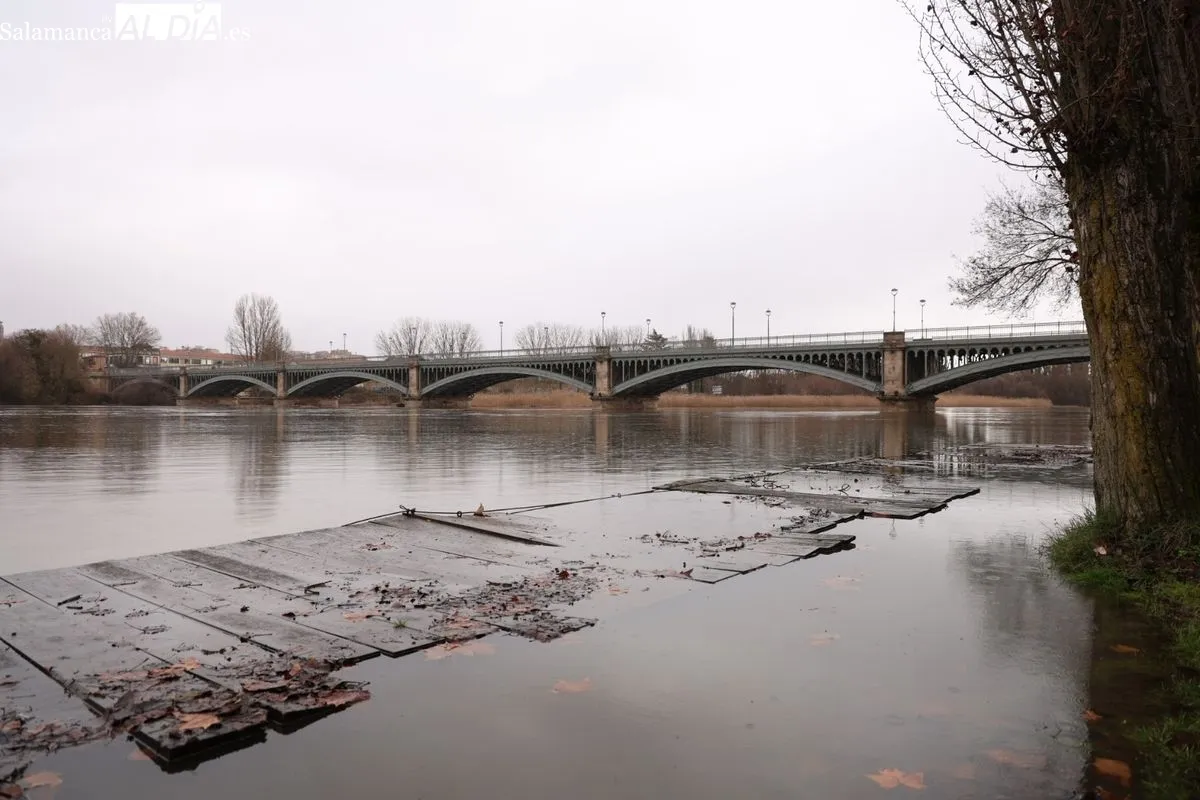 Crecida del río Tormes a su paso por Salamanca | Fotos: David Sañudo