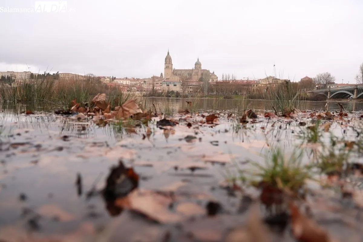 Crecida del río Tormes a su paso por Salamanca | Fotos: David Sañudo
