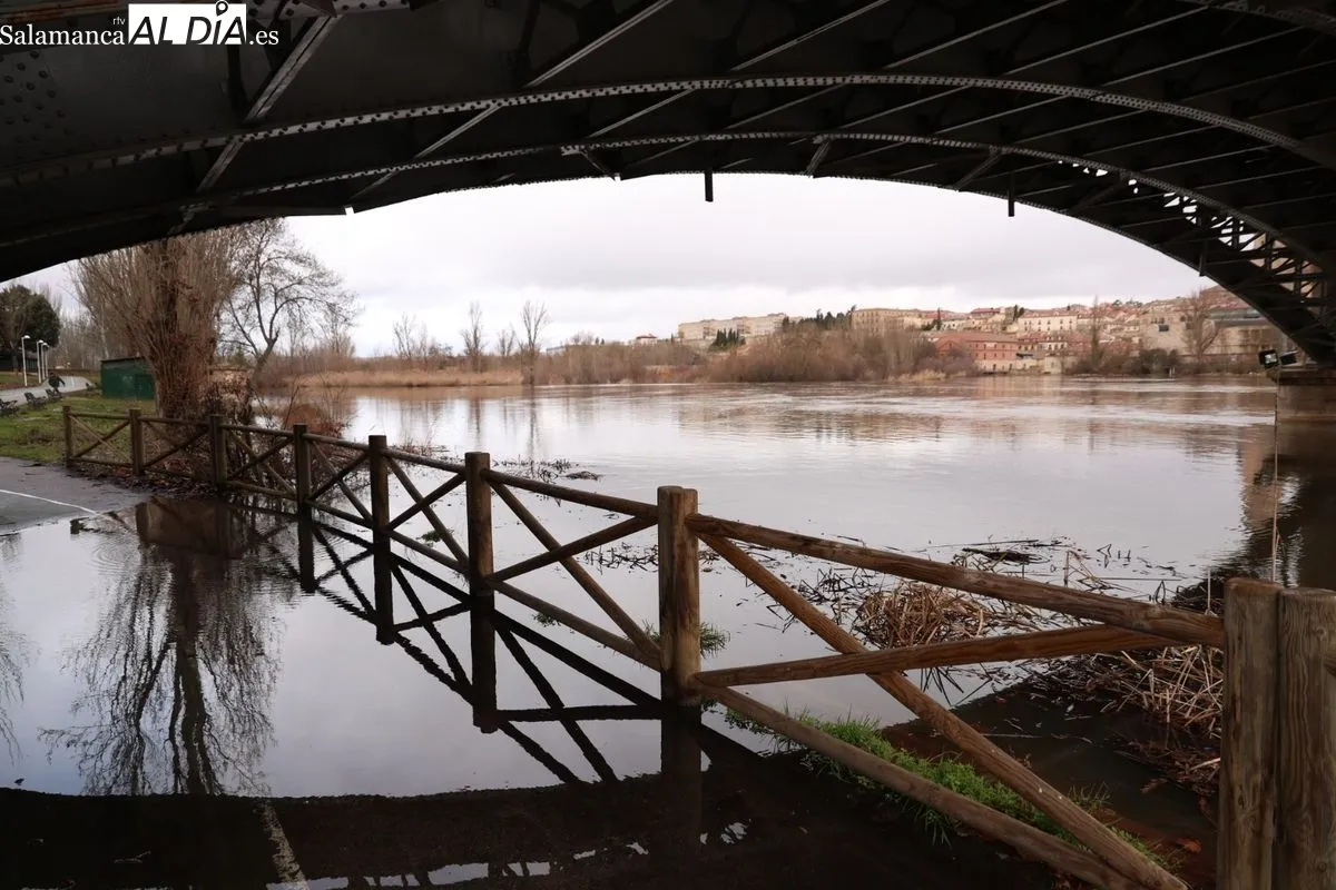 Crecida del río Tormes a su paso por Salamanca | Fotos: David Sañudo