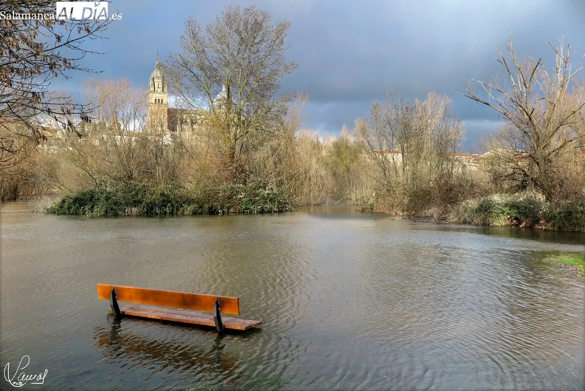El Tormes, imponente a su paso por Salamanca | Fotos: Manuel Lamas