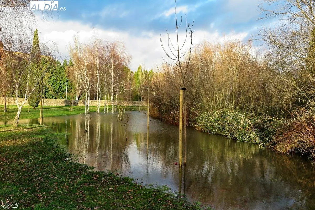 El Tormes, imponente a su paso por Salamanca | Fotos: Manuel Lamas