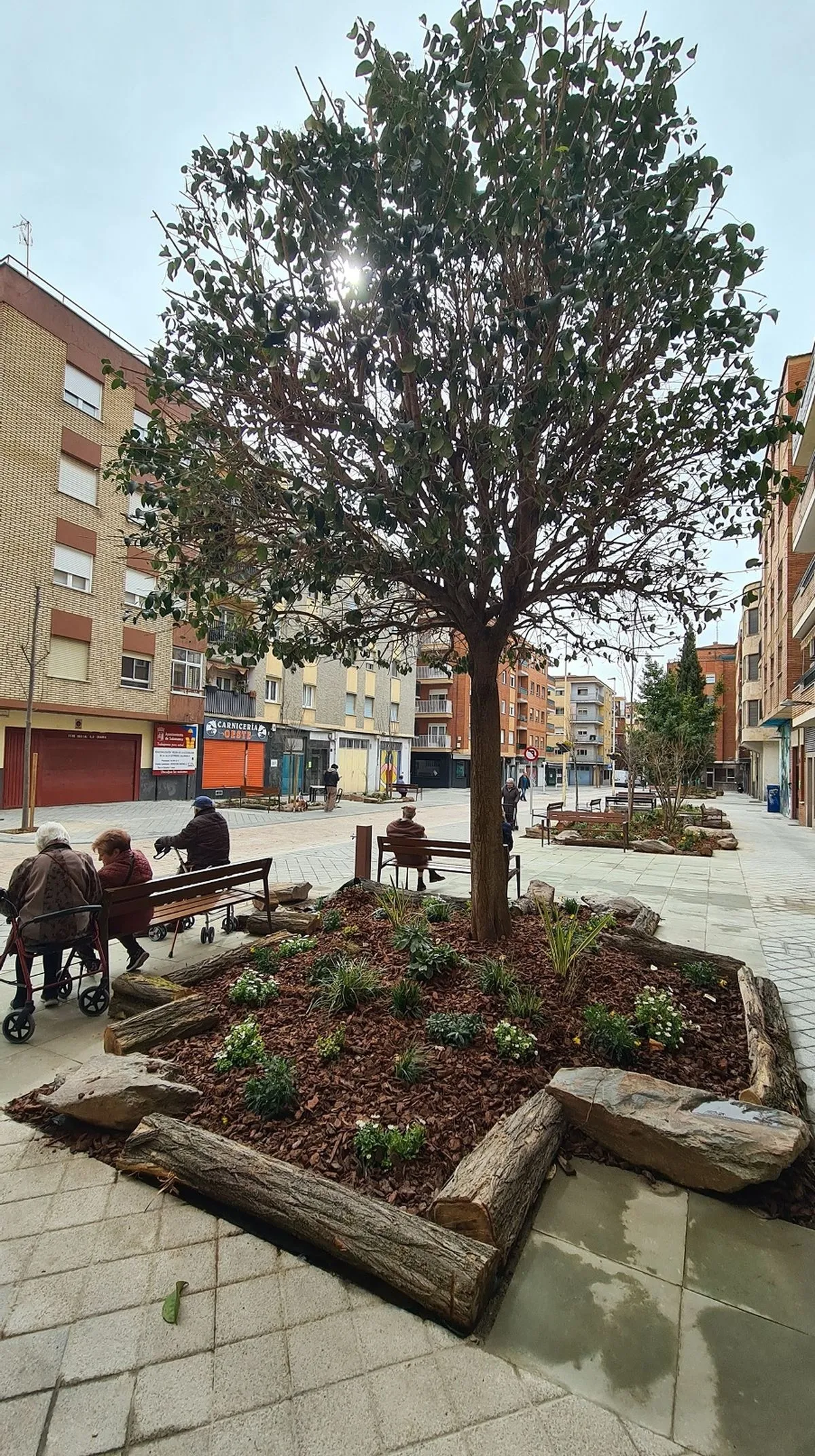 Foto 4 - La calle G&uuml;tenberg estrena imagen con diez &aacute;rboles frutales y una mesa de ajedrez
