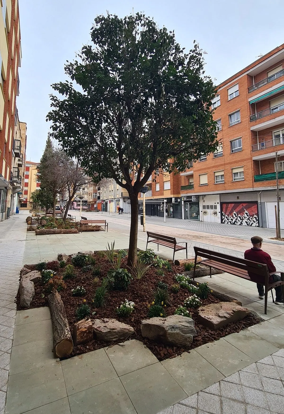 Foto 2 - La calle G&uuml;tenberg estrena imagen con diez &aacute;rboles frutales y una mesa de ajedrez