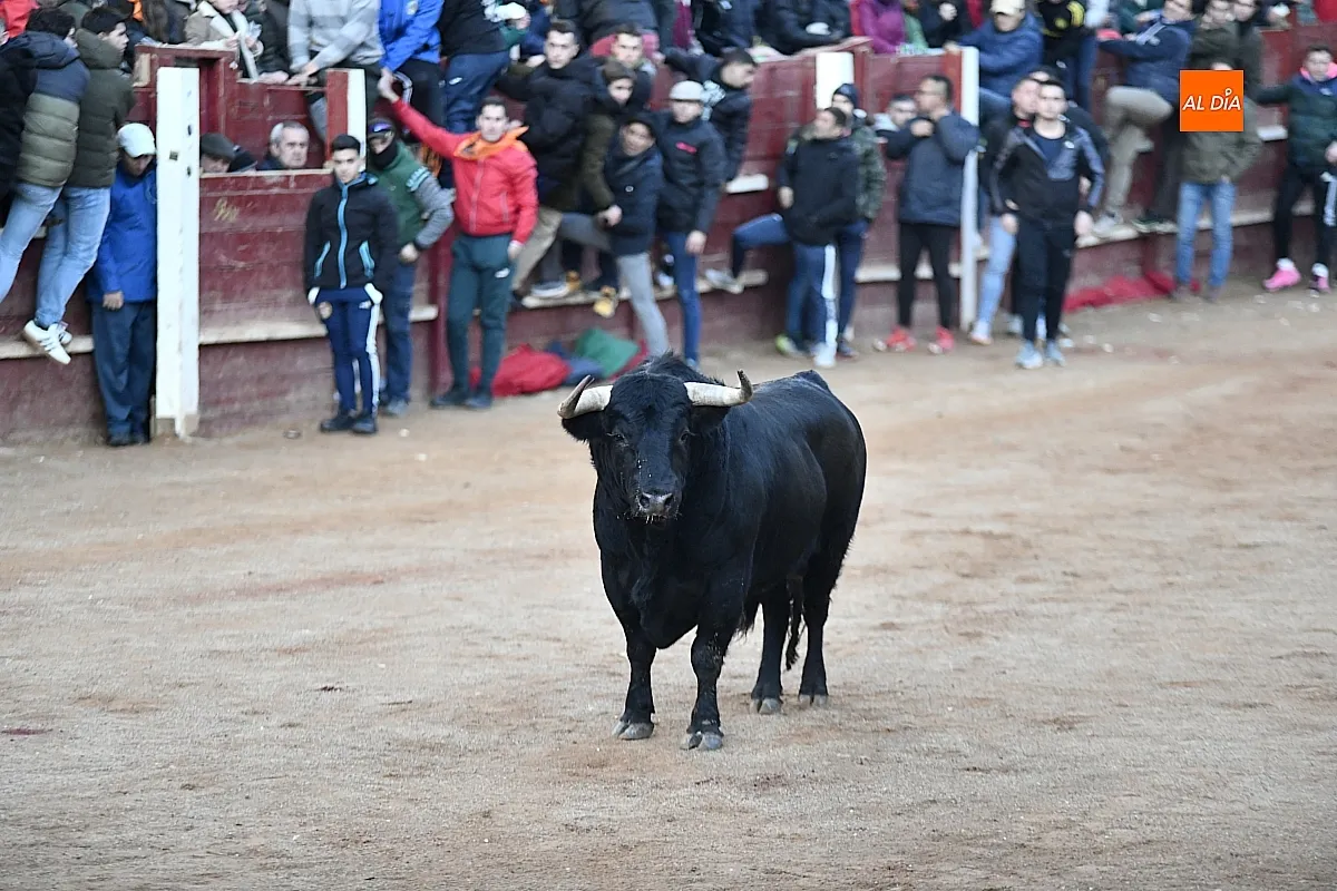 Los tres de Monte la la Ermita emocionan al público en la capea del martes tarde