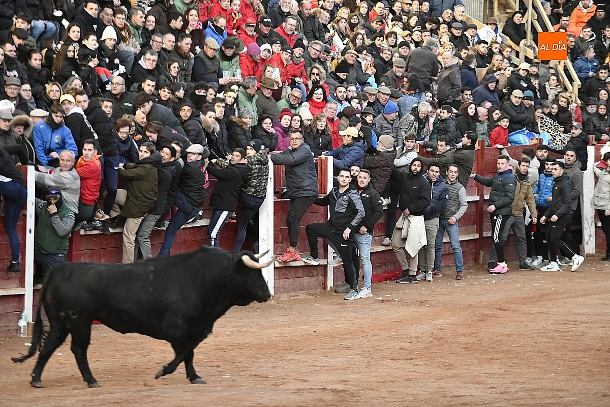 Los tres de Monte la la Ermita emocionan al público en la capea del martes tarde