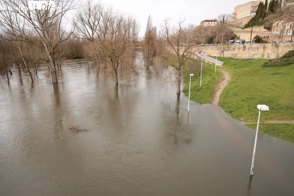 Espectacular crecida del río Tormes a su paso por Salamanca debido a las lluvias | FOTOS: David Sañudo 