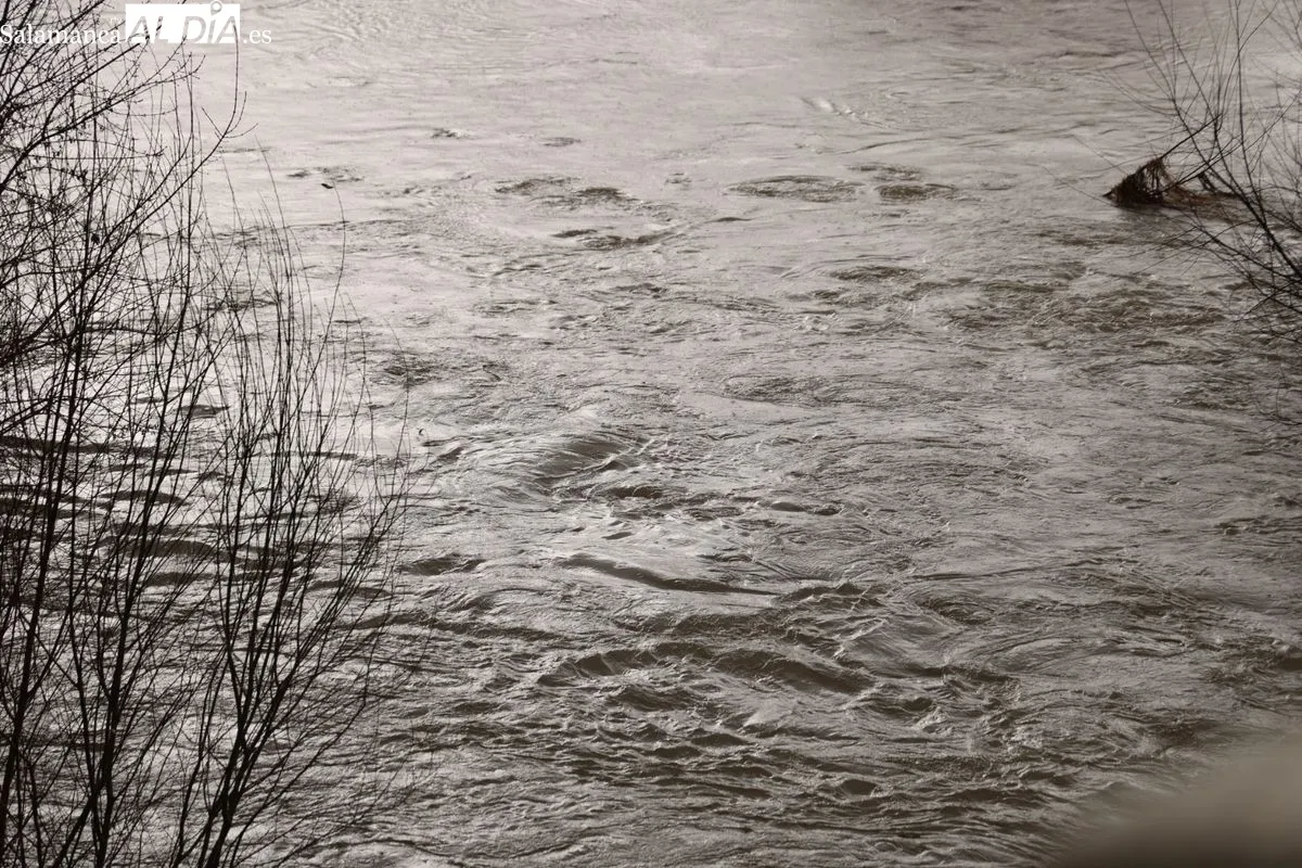 Espectacular crecida del río Tormes a su paso por Salamanca debido a las lluvias | FOTOS: David Sañudo 