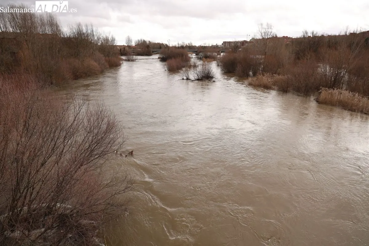 Espectacular crecida del río Tormes a su paso por Salamanca debido a las lluvias | FOTOS: David Sañudo 