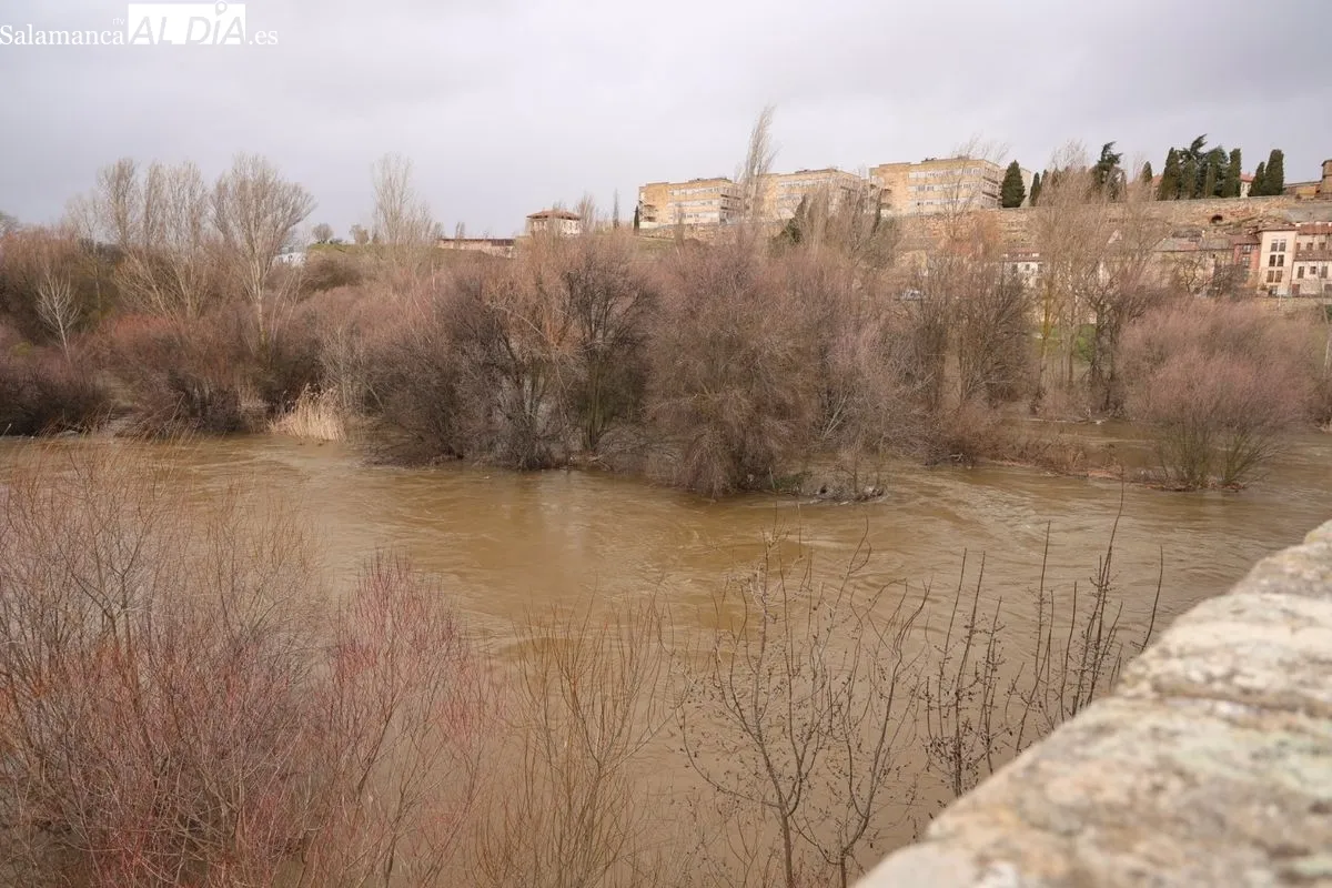Espectacular crecida del río Tormes a su paso por Salamanca debido a las lluvias | FOTOS: David Sañudo 
