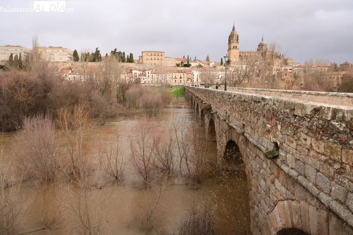 Espectacular crecida del río Tormes a su paso por Salamanca debido a las lluvias | FOTOS: David Sañudo 