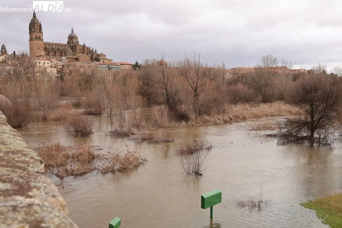 Espectacular crecida del río Tormes a su paso por Salamanca debido a las lluvias | FOTOS: David Sañudo 