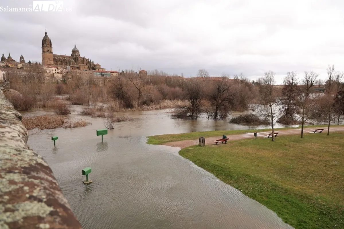 Espectacular crecida del río Tormes a su paso por Salamanca debido a las lluvias | FOTOS: David Sañudo 