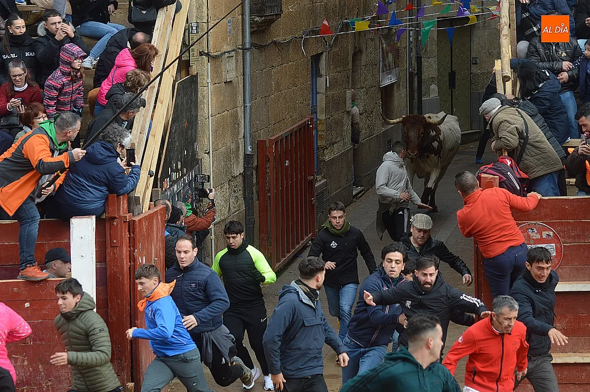 Encierro lunes de carnaval 