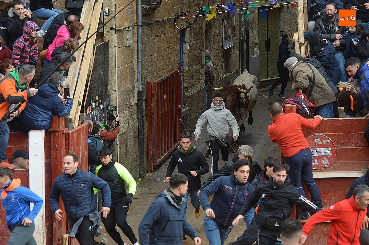 Encierro lunes de carnaval 