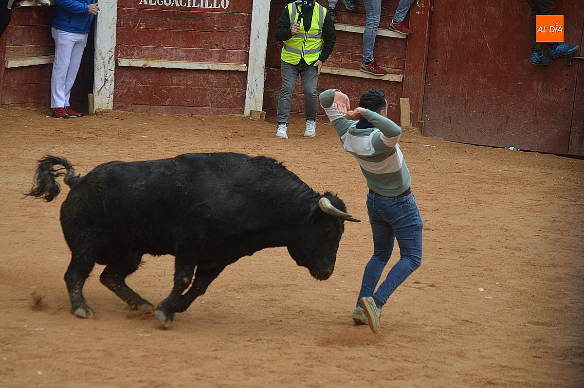 Gran ambiente en una capea multitudinaria y el posterior desencierro