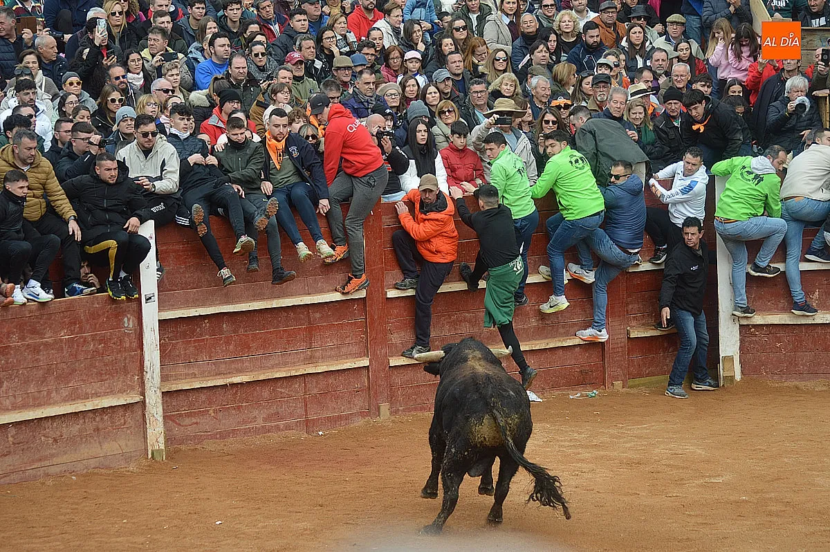 Capea y desencierro del lunes de mañana de carnaval 