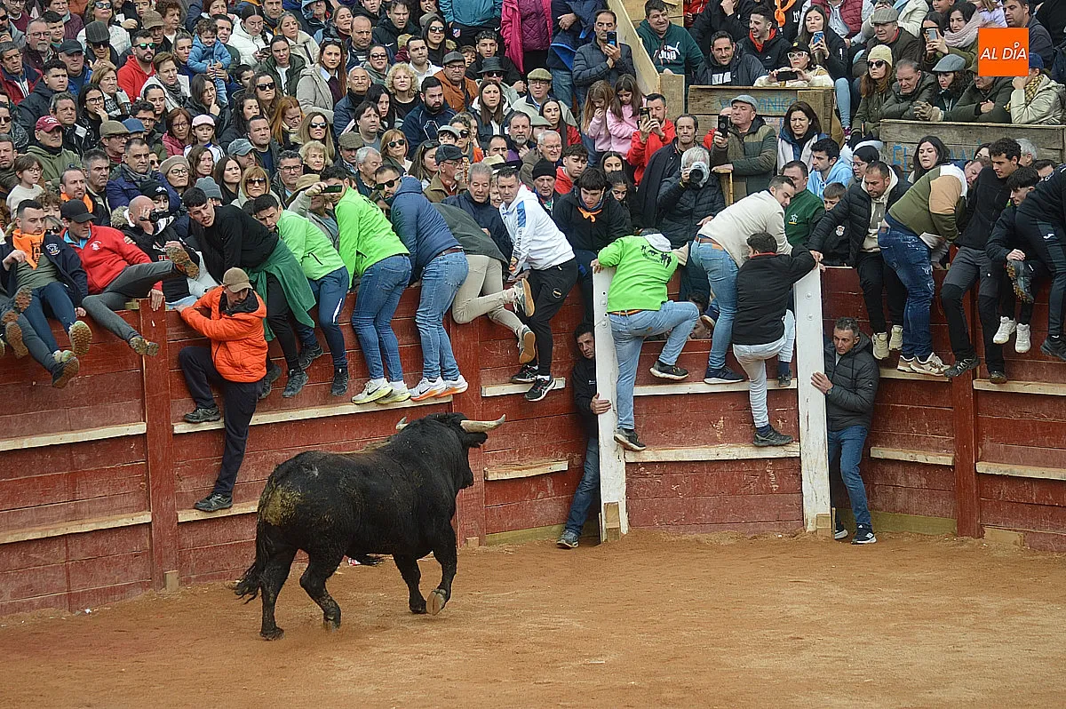 Capea y desencierro del lunes de mañana de carnaval 