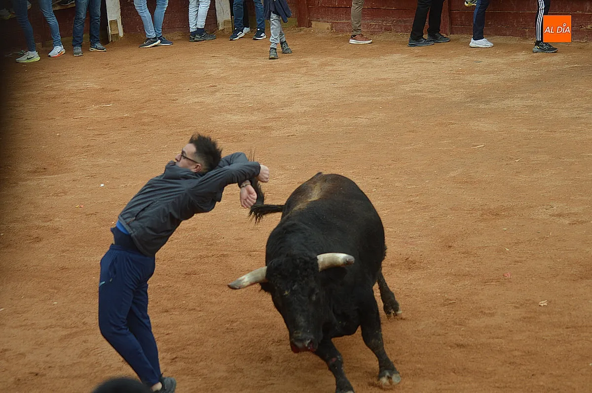 Capea y desencierro del lunes de mañana de carnaval 