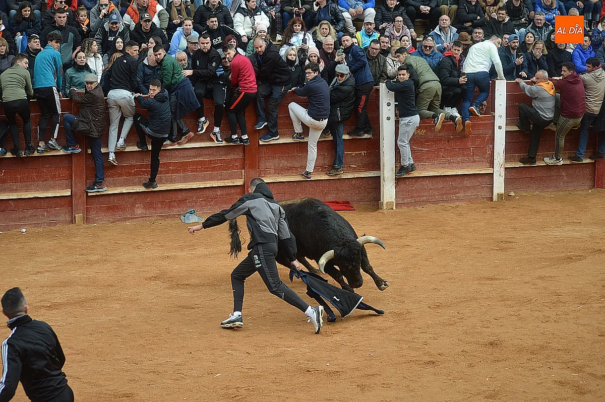 Capea y desencierro del lunes de mañana de carnaval 