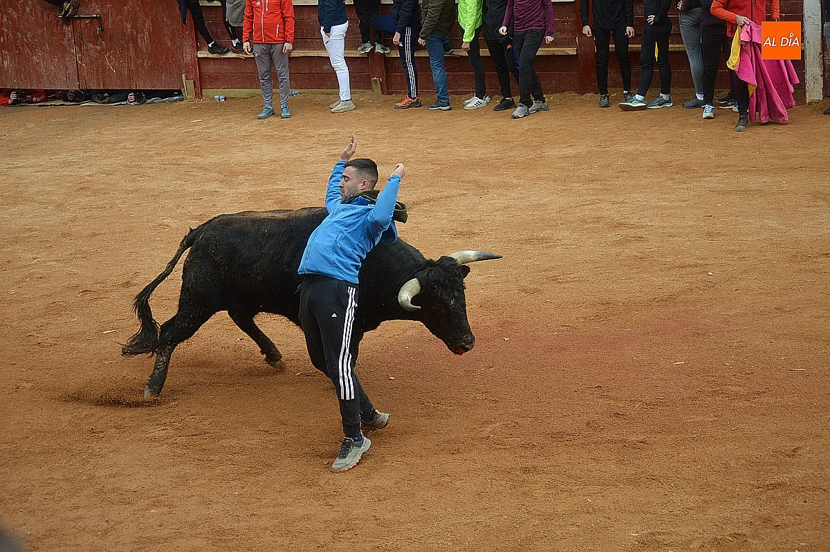 Capea y desencierro del lunes de mañana de carnaval 