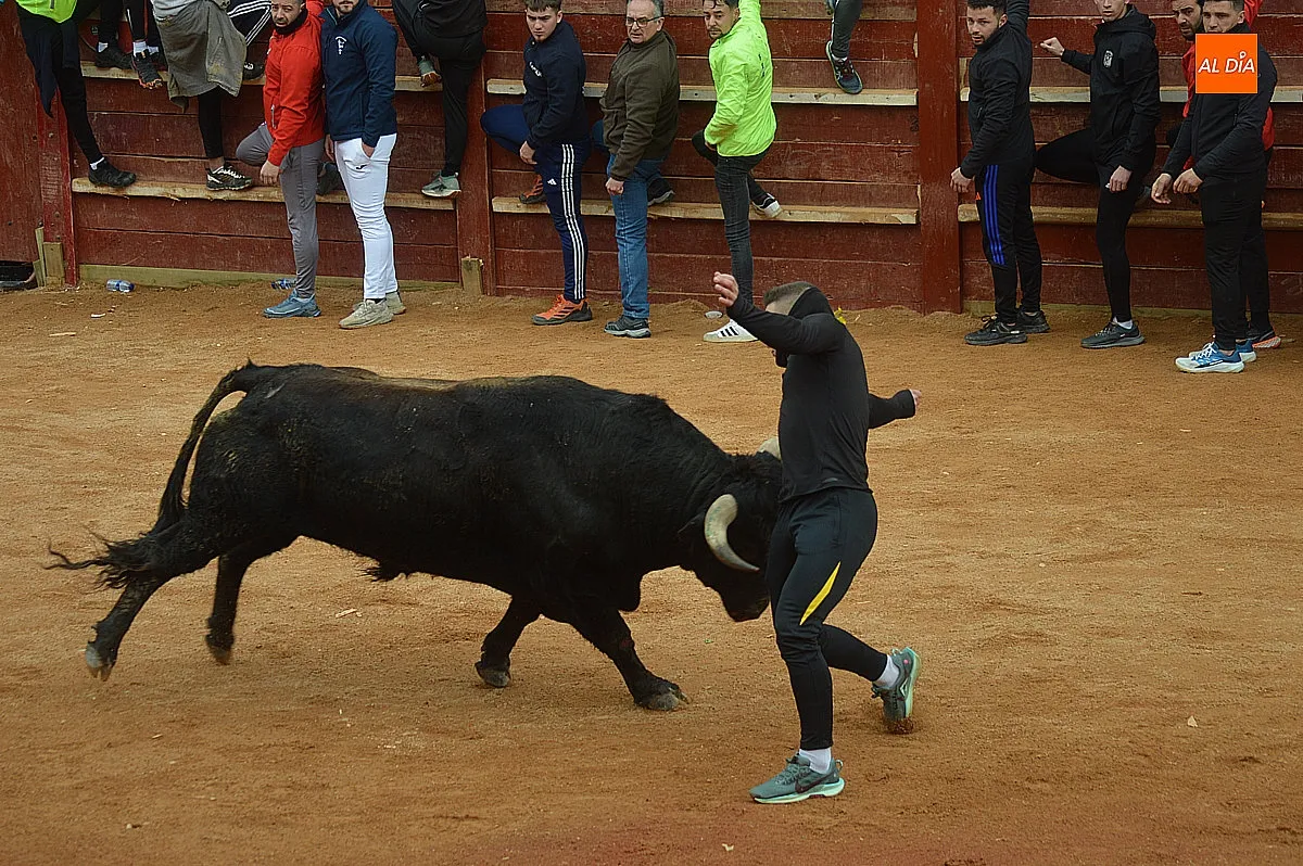 Capea y desencierro del lunes de mañana de carnaval 