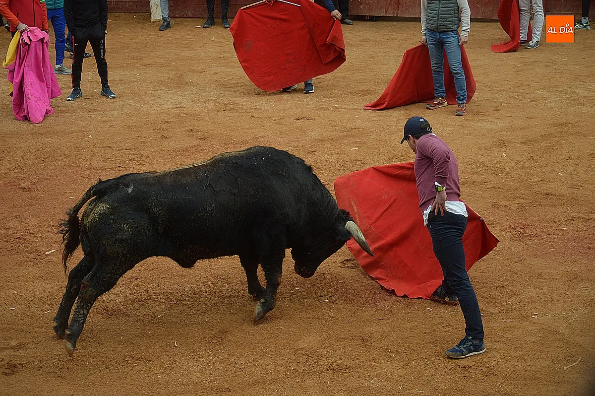 Capea y desencierro del lunes de mañana de carnaval 
