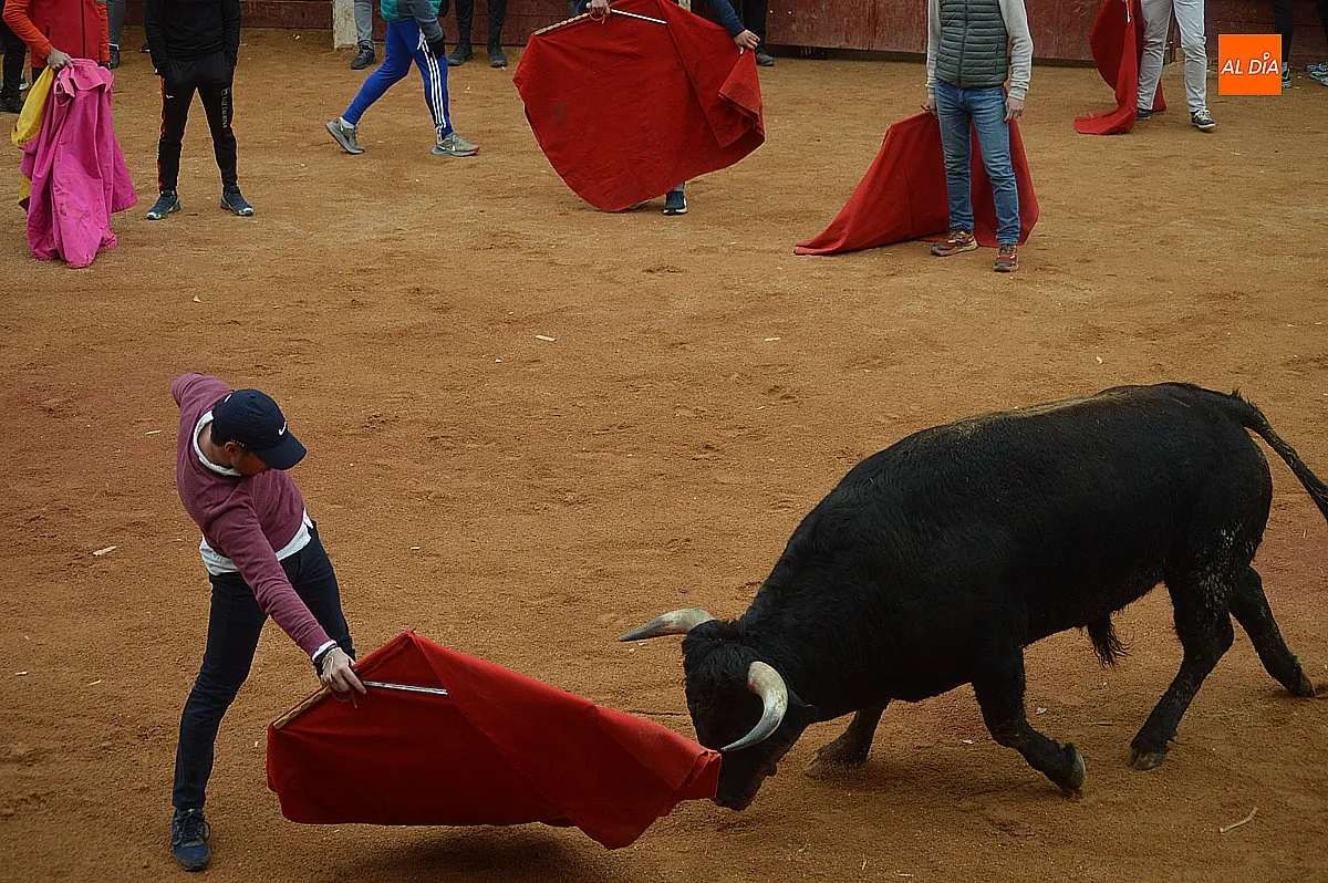 Capea y desencierro del lunes de mañana de carnaval 