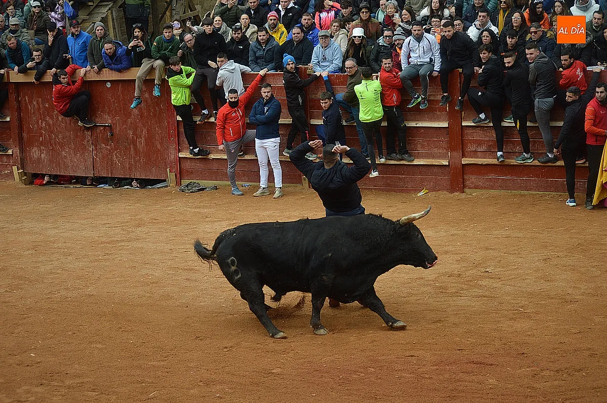 Capea y desencierro del lunes de mañana de carnaval 