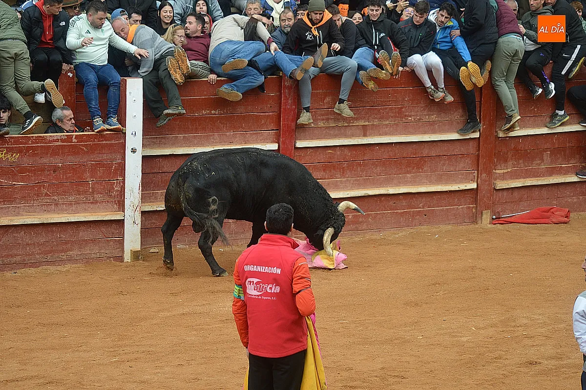 Capea y desencierro del lunes de mañana de carnaval 