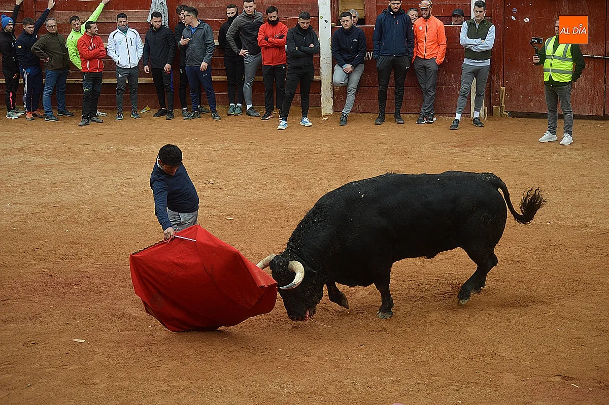 Capea y desencierro del lunes de mañana de carnaval 