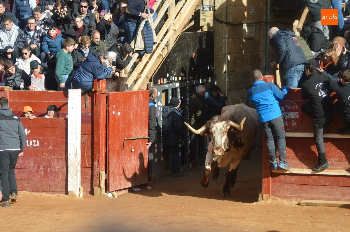 Encierro martes de Carnaval 