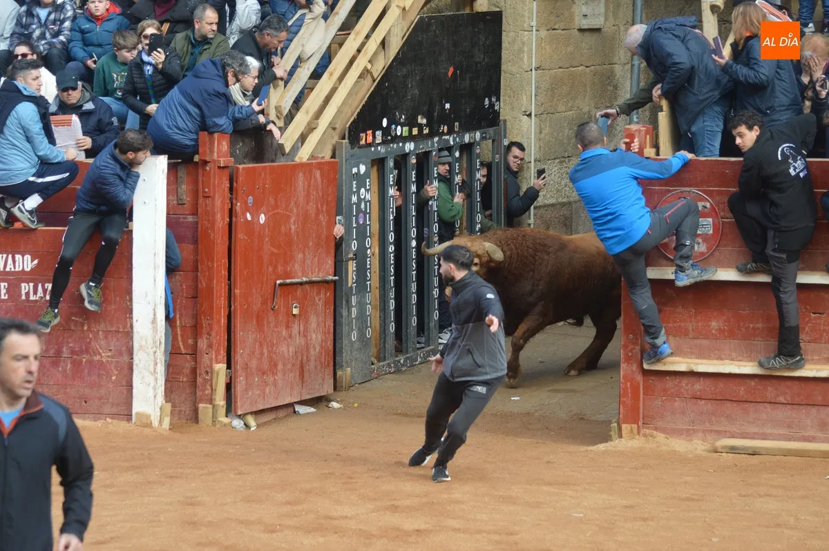 Encierro martes de Carnaval 