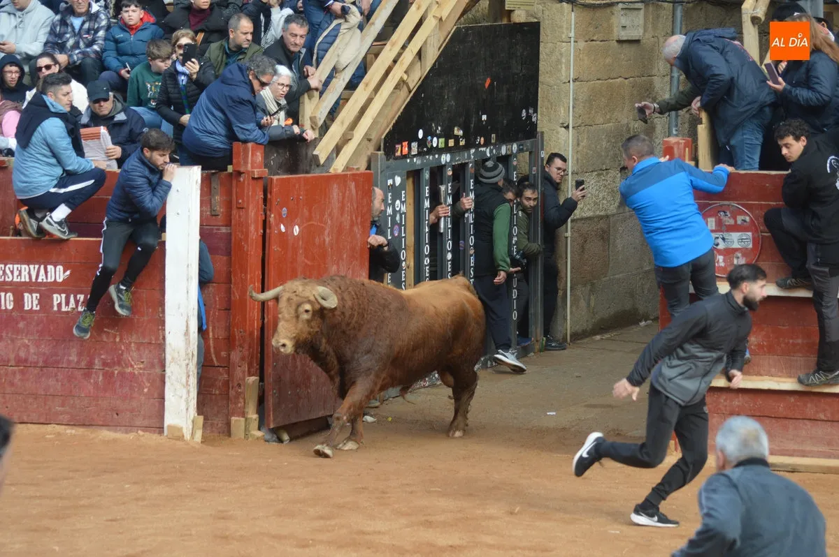 Encierro martes de Carnaval 
