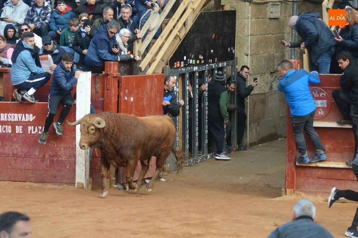 Encierro martes de Carnaval 