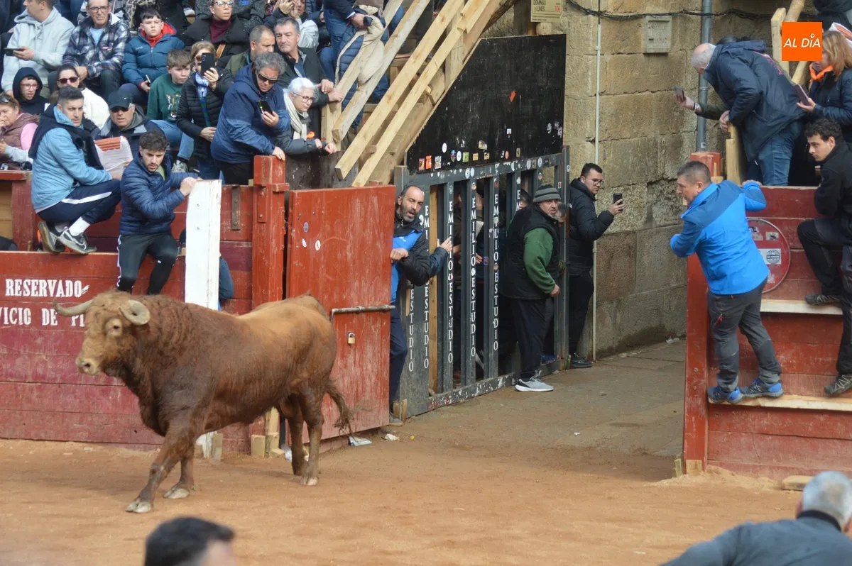 Encierro martes de Carnaval 
