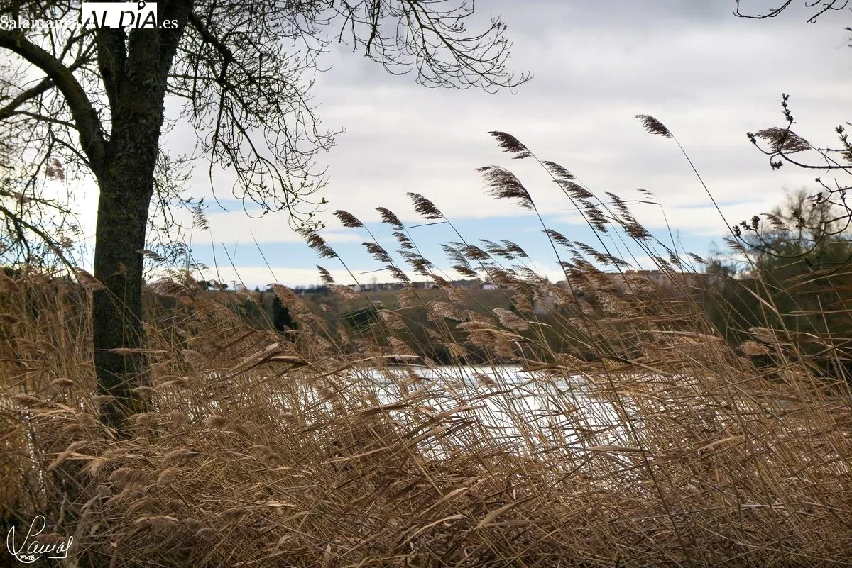 Así ha quedado el paraje de El Canto, en Villamayor, tras el paso de las últimas borrascas. Foto de Manuel Lamas