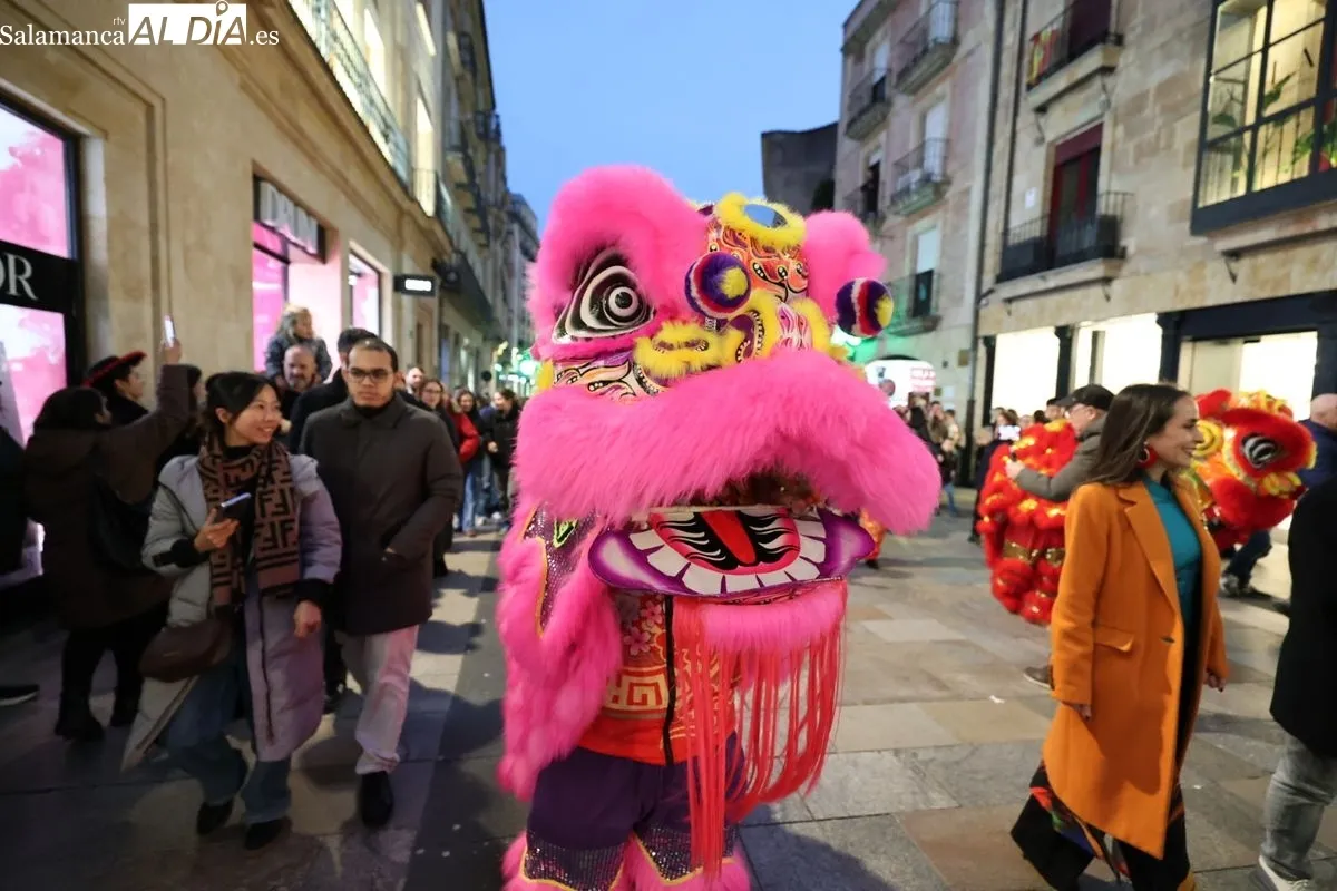 Pasacalles y encendido de la iluminación en la calle Zamora por el Año Nuevo Chino. Fotos: David Sañudo