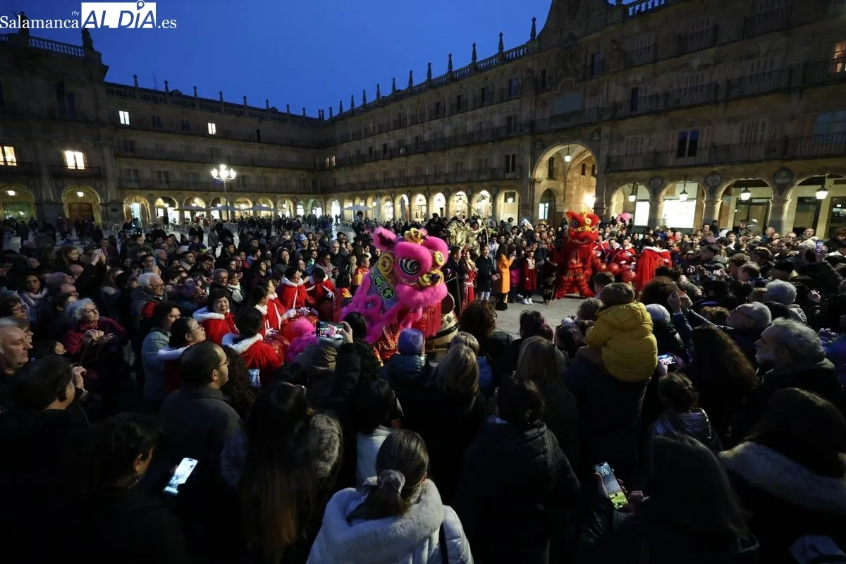 Pasacalles y encendido de la iluminación en la calle Zamora por el Año Nuevo Chino. Fotos: David Sañudo