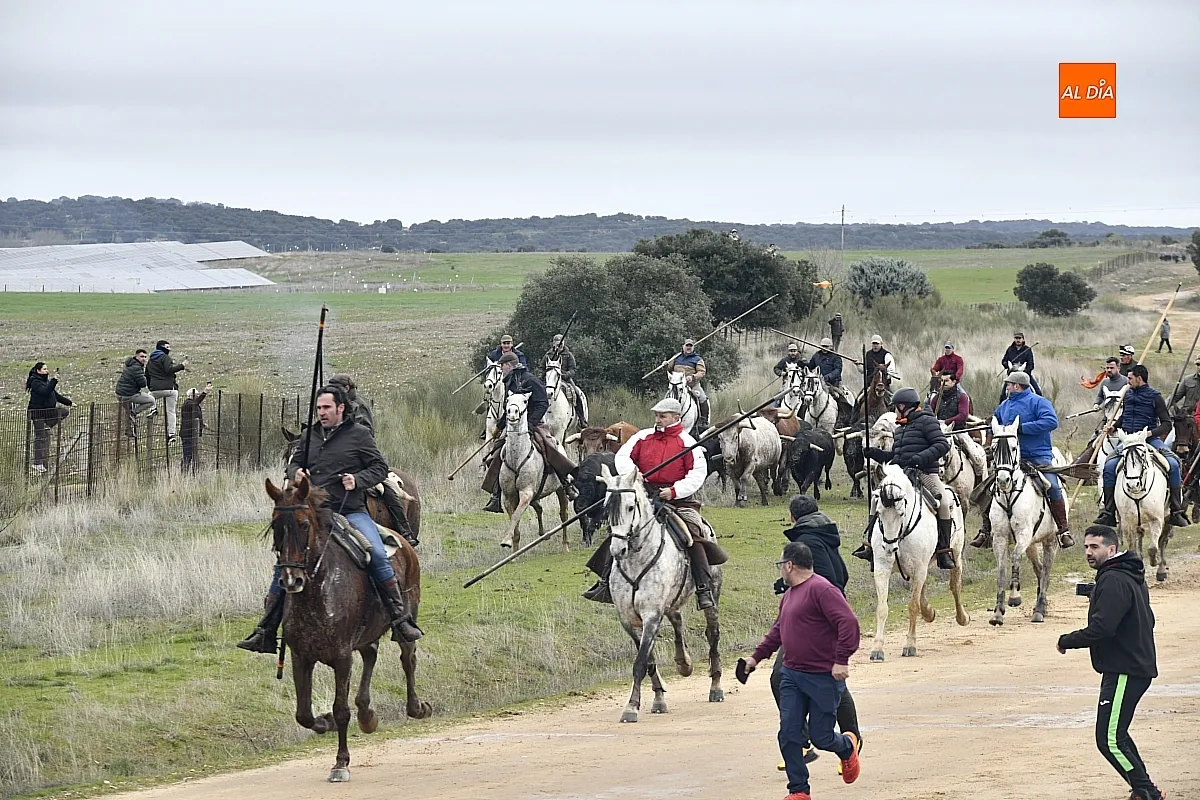 Encierro a caballo en ciudad Rodrigo