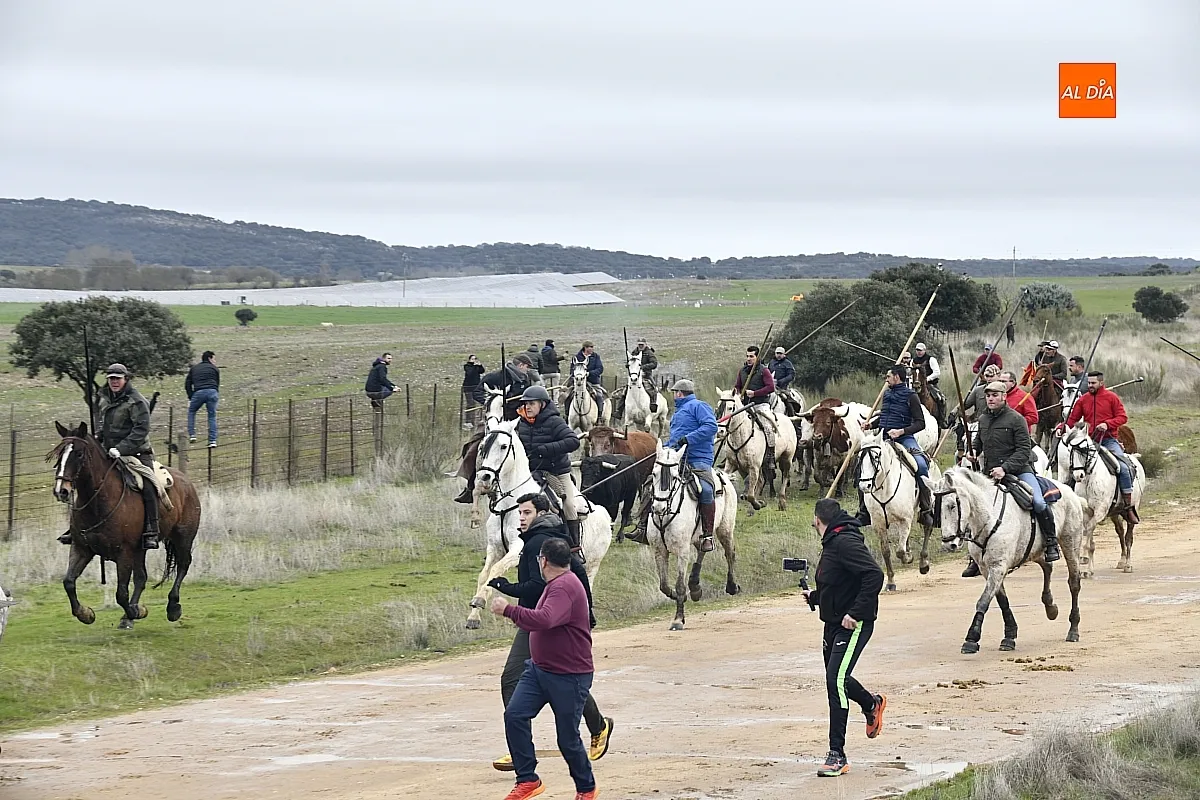 Encierro a caballo en ciudad Rodrigo