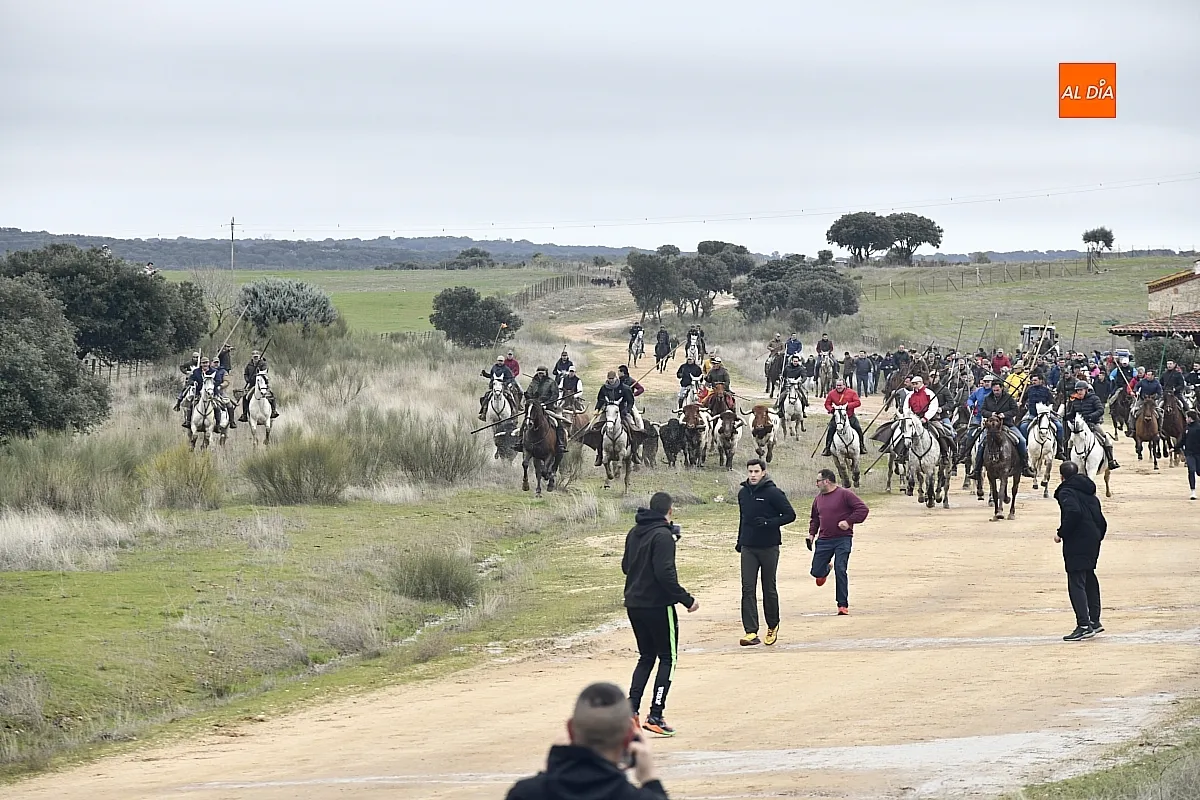 Encierro a caballo en ciudad Rodrigo