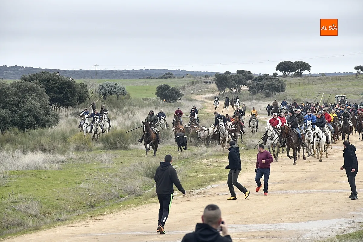Encierro a caballo en ciudad Rodrigo