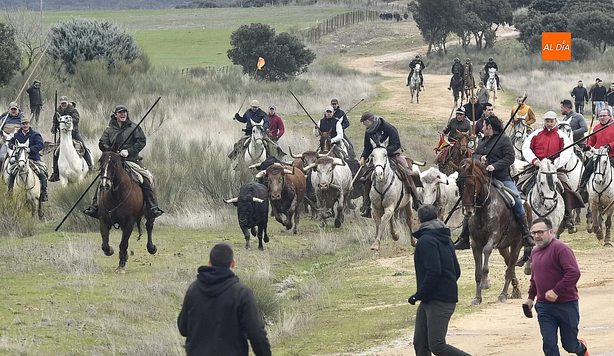 Encierro a caballo en ciudad Rodrigo