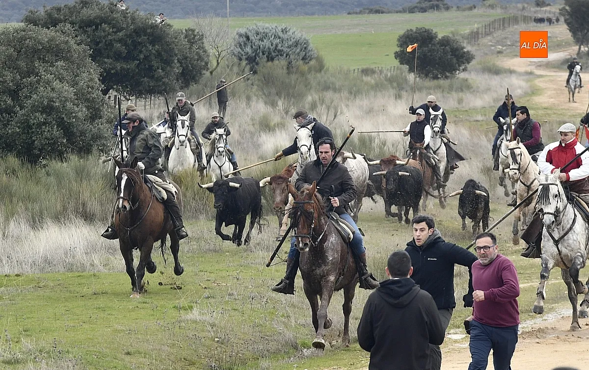 Encierro a caballo en ciudad Rodrigo