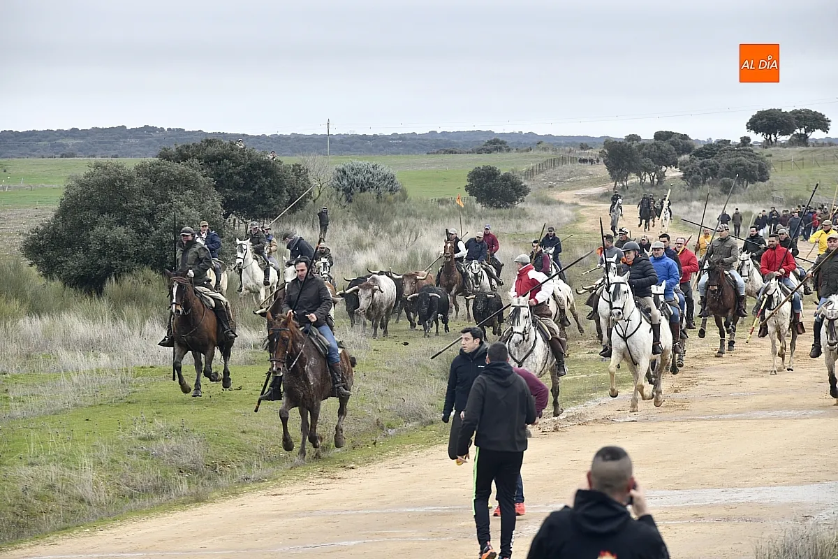 Encierro a caballo en ciudad Rodrigo