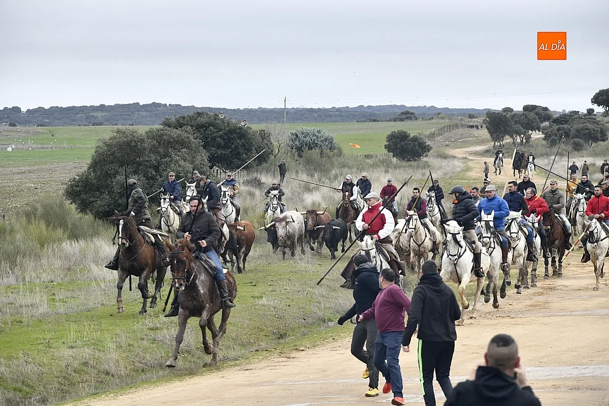 Encierro a caballo en ciudad Rodrigo