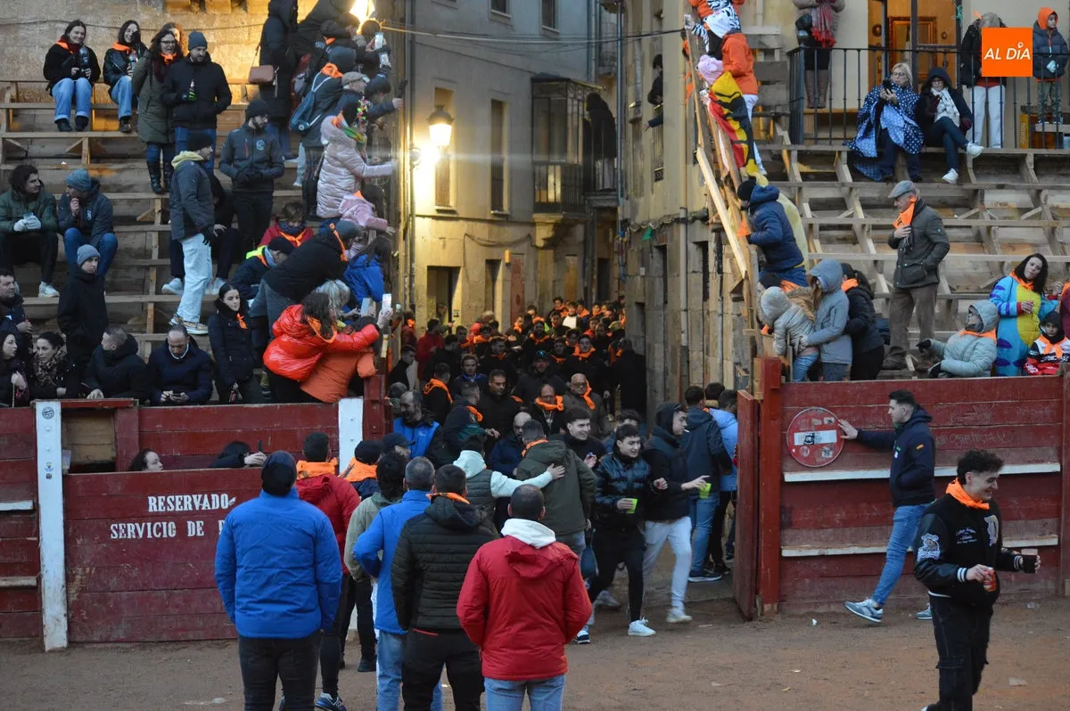 Foto 8 - Ciudad Rodrigo disfruta de un primer encierro de bueyes r&aacute;pido y limpio con el recorrido abarrotado