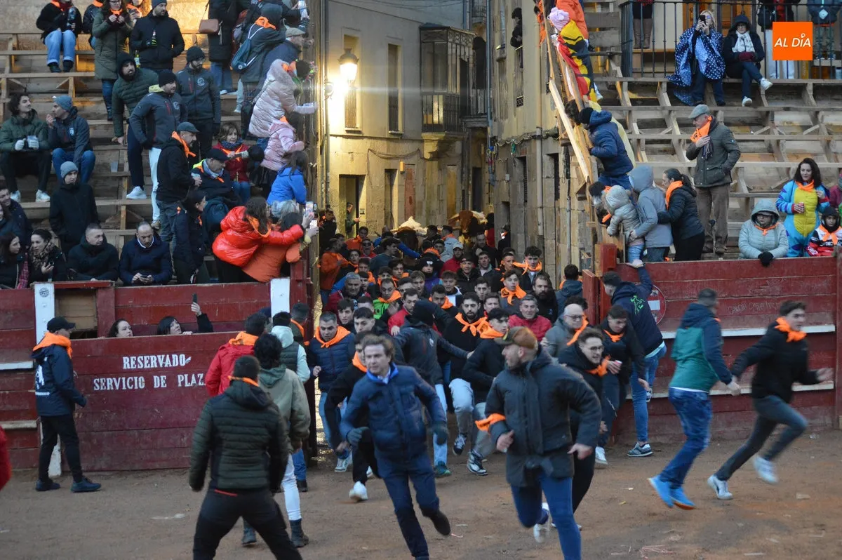 Foto 10 - Ciudad Rodrigo disfruta de un primer encierro de bueyes r&aacute;pido y limpio con el recorrido abarrotado